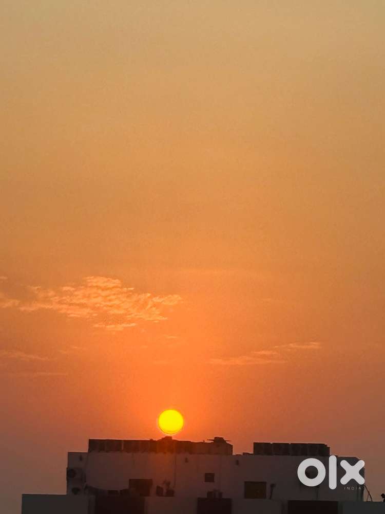 Salesman for watch shop at court Road calicut