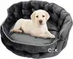 Puppy Bed in Pet Shop