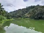 4 acre of rubber near amboori reservoir suitable for resort.