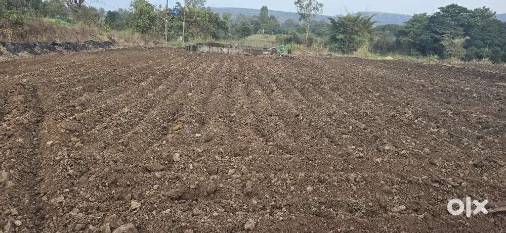 तहसीलदार NA