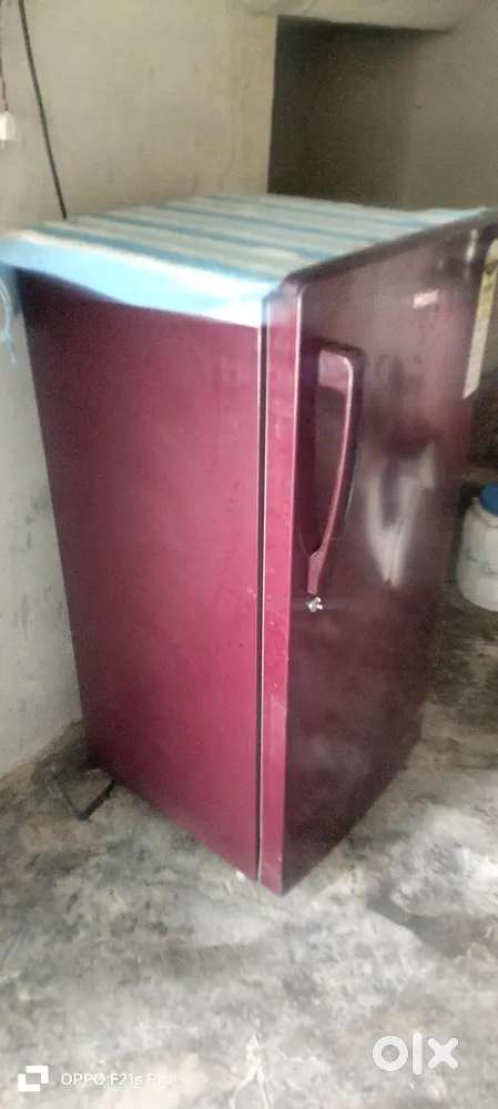 Fridge single door