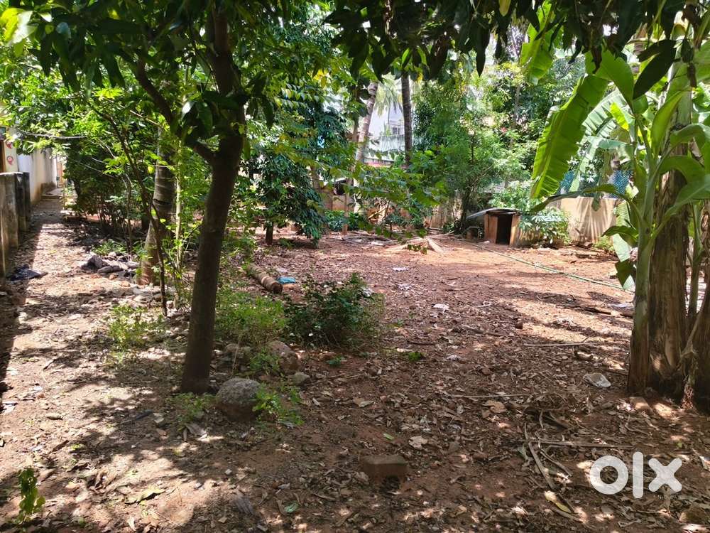 5.5cent for immediate sale & need advance amt 30lakhs, no negotiations