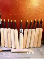 Premium Kashmir Willow