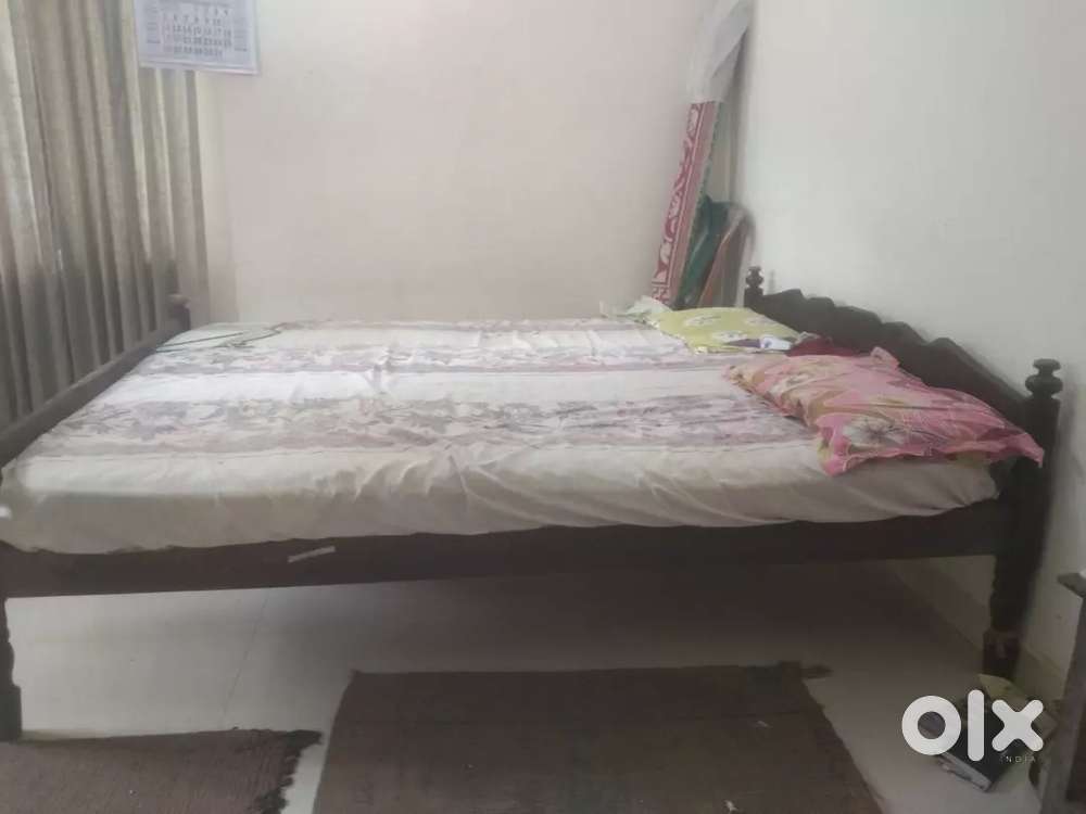 Double Coat Kattile with Bed