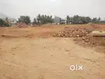 Ayothiyapattanam AVS college nearby plot