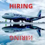 Golden Chance for X-Mens in Indigo Ground Staff Vaccancies