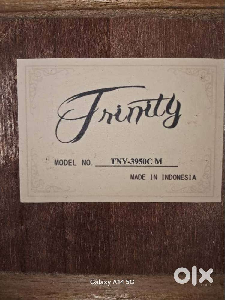 BRAND:-Trintty[MADE IN INDONESIA] & MODEL:-[TNY-3950CM]Used:- 3 months