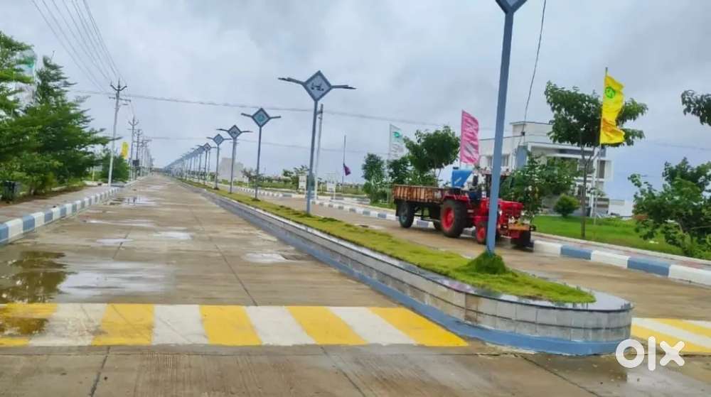 MJ, properties Nellore