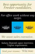 Required staff for online sales executive and calling