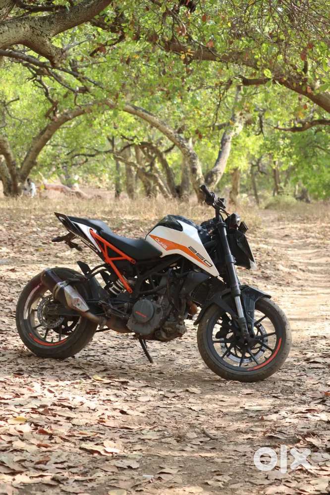Ktm duke 250