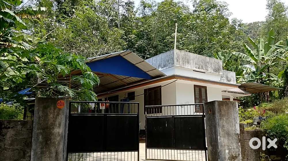 12 CENT PLOT WITH 1000 SQFT HOUSE FOR URGENT SALE AT NEDUMANGAD