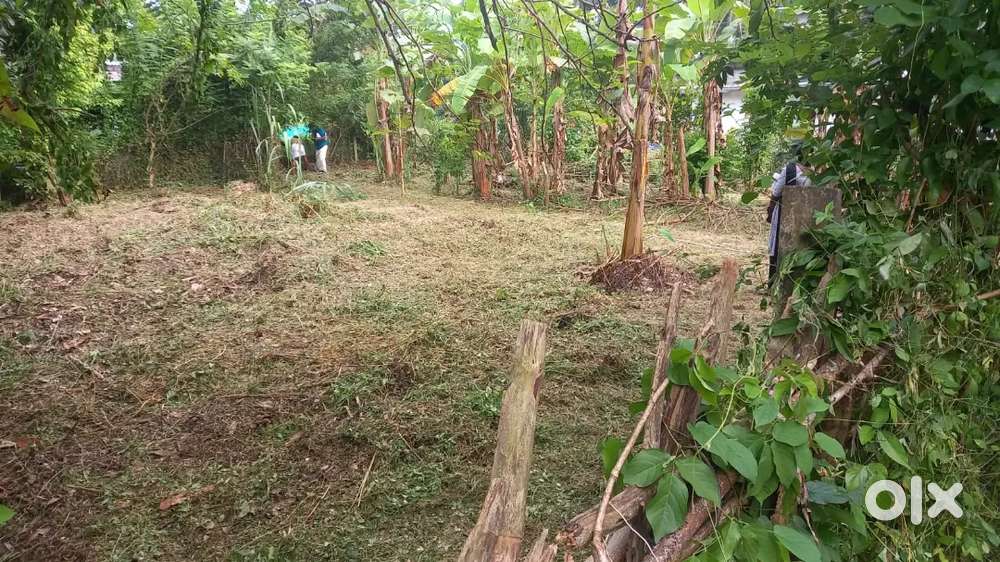 9 cent plot for sale in Mundaya