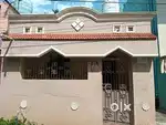 Individual House