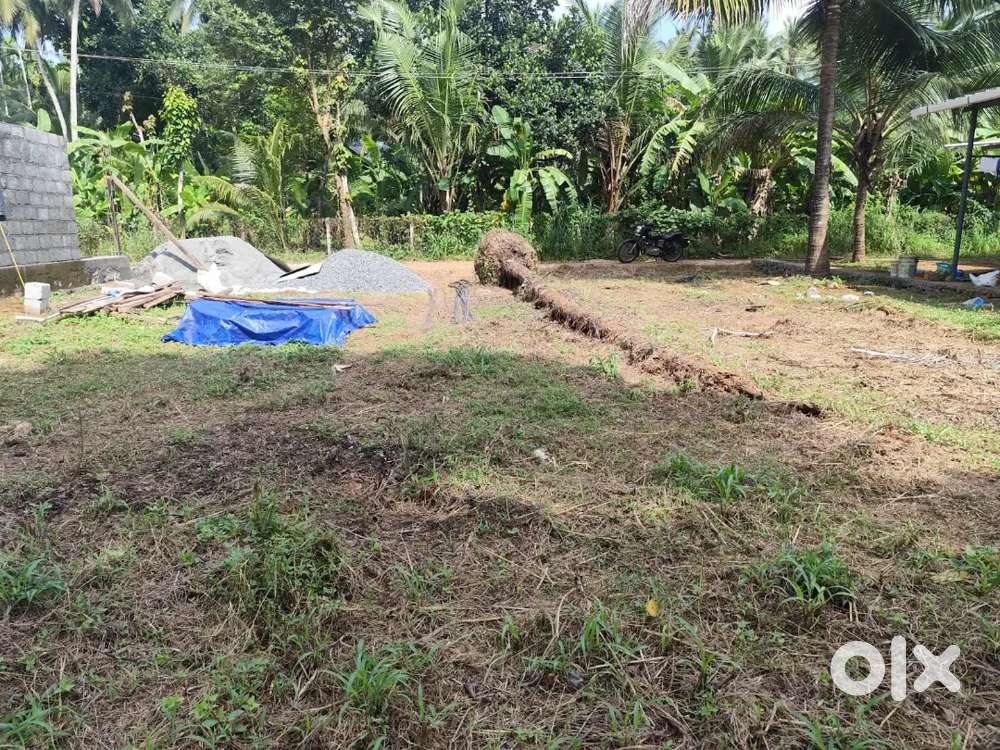 Residential plot 8 cent available in kunnamkulam near parakkadi temple