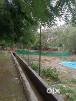 Residential Plots for Sale in Noida  100 to 500 Sq. Yards East Facing