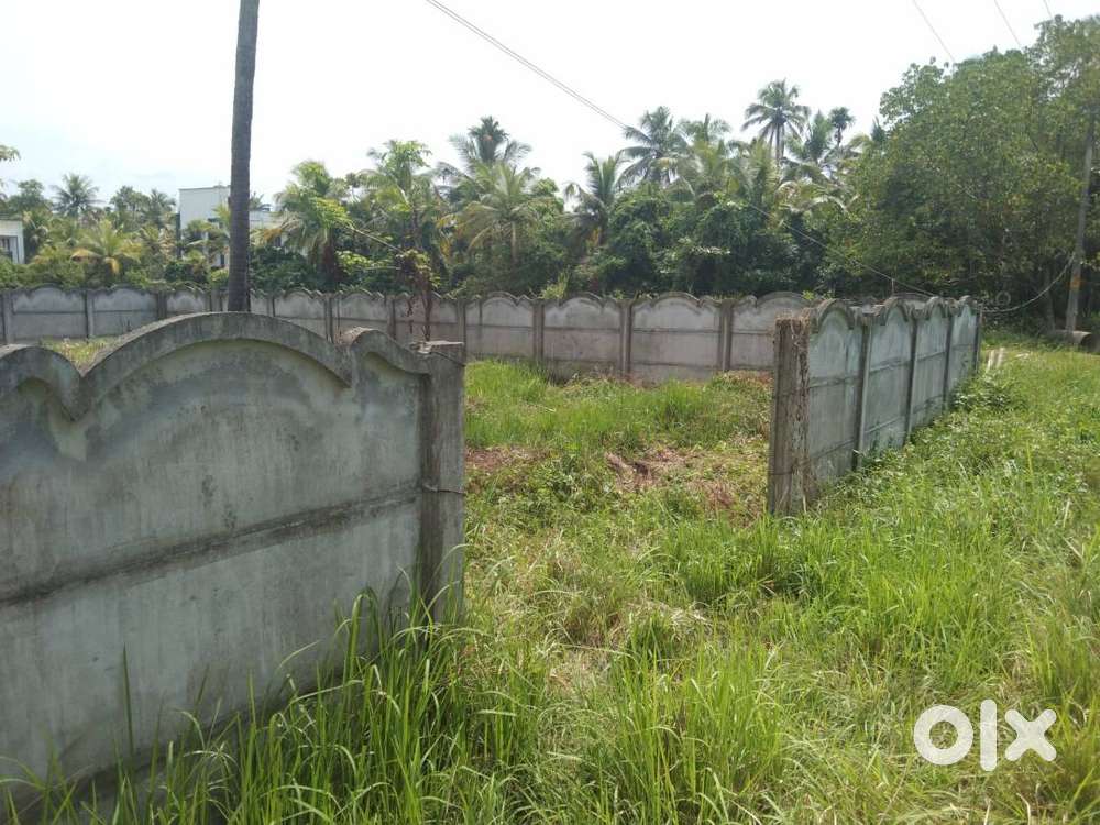 6.3 cent house plot near VHSS, Panangad.