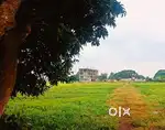 Rent open space in kesora bhubaneswar