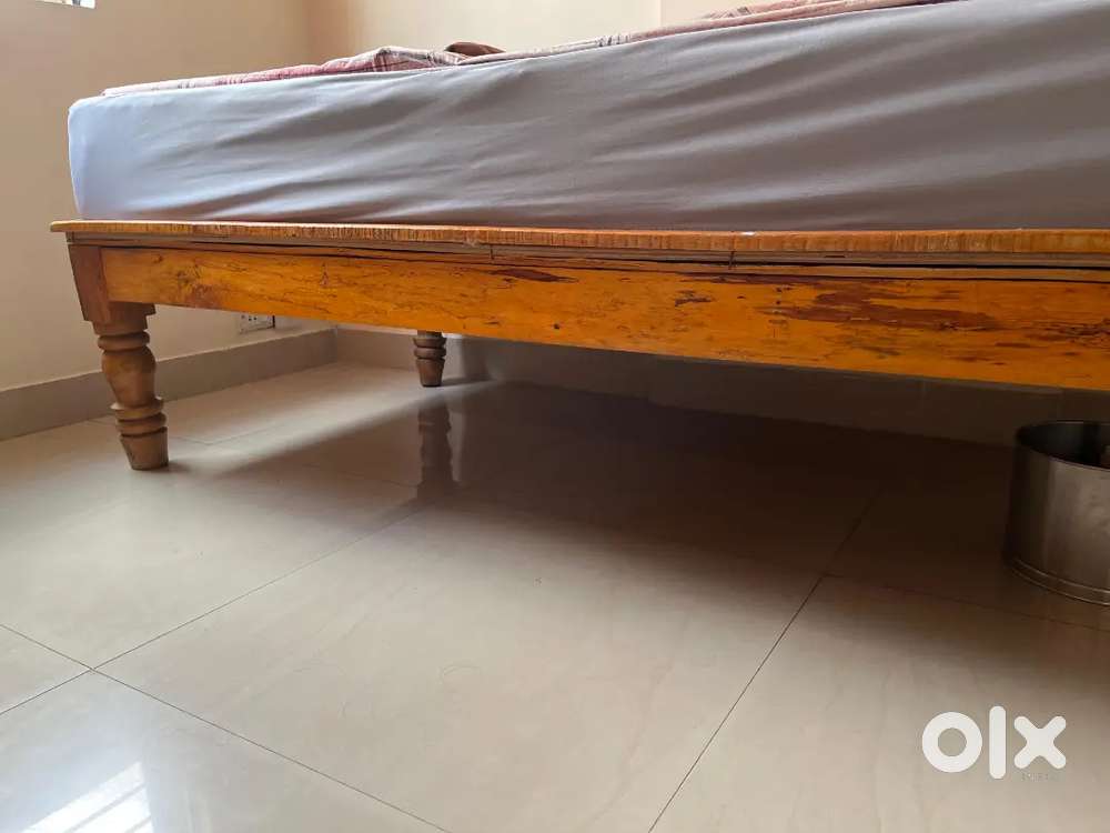 Single Sleepy head matress with cot and bed cover