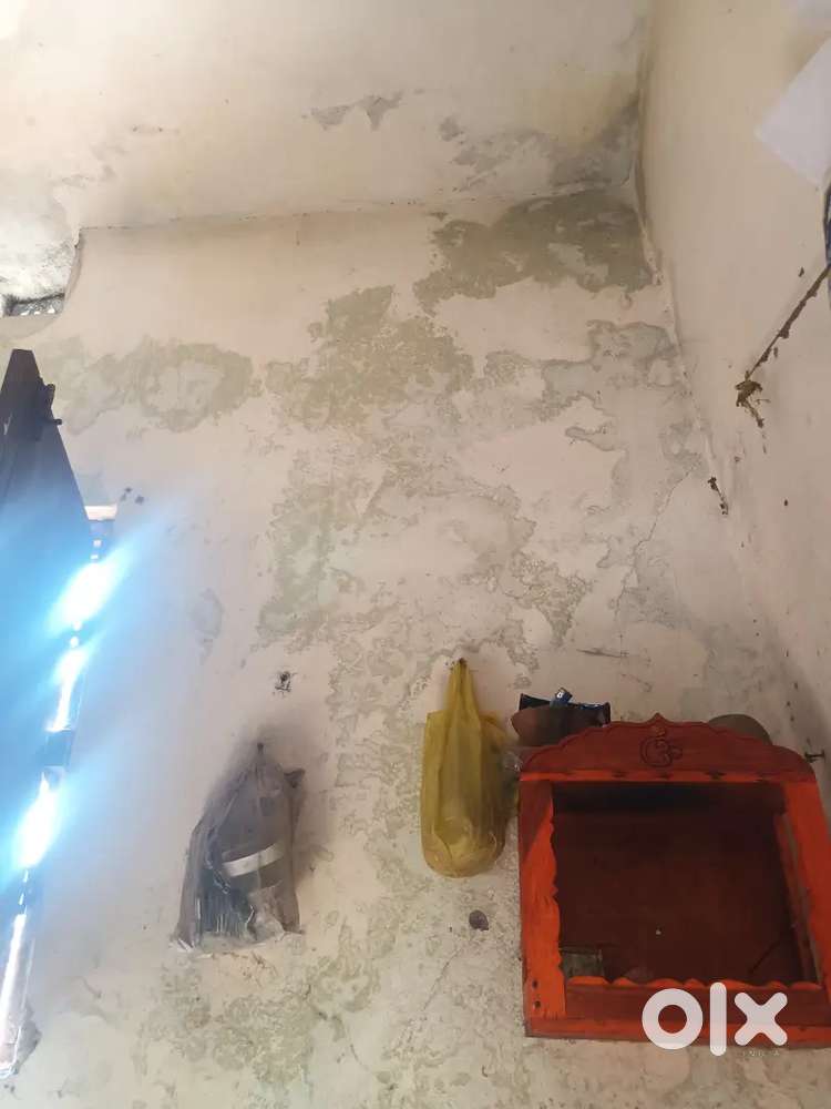 Need one girl roommate