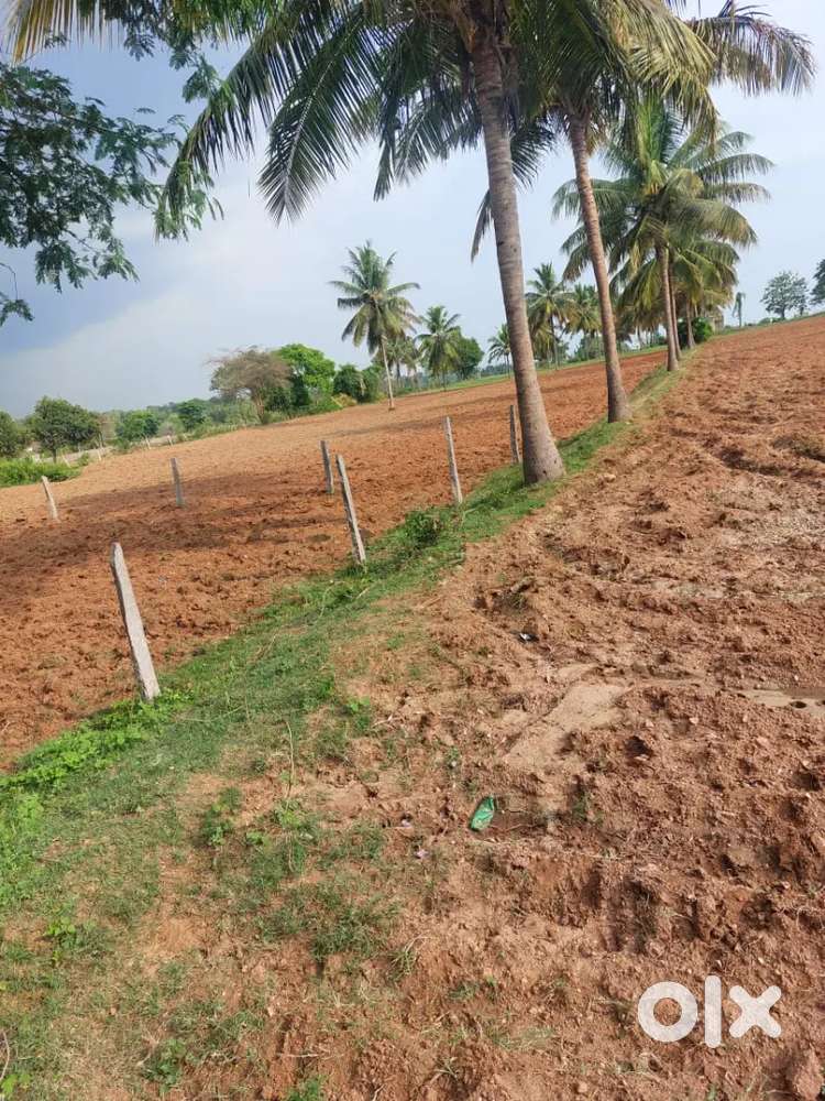 Two Acer Agricultural Land For Sale ATHDKote