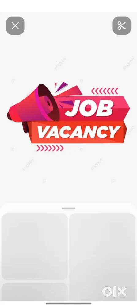 Admin cum Receptionist