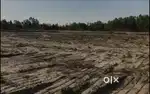 4 bigha pakka agricultural or farmhouse land for sale