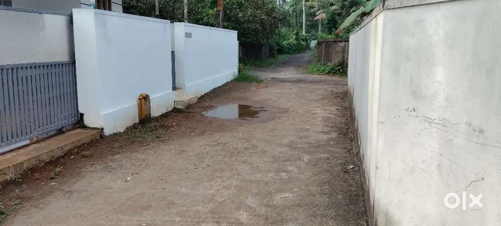 ചേർത്തല കാളിക്കുളം  വടക്കുവശം 8 സെന്റ് വില്പനയ്ക്ക് 3.30 ഒരു സെന്റിന്