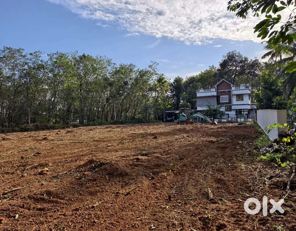 64 സെന്റ് നിരപ്പായ പ്ലോട്ട് Chamakkala