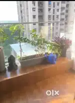 Luxurious furnished flat for rent