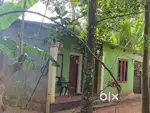 14 cent land with house for sale