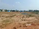 Site for sale