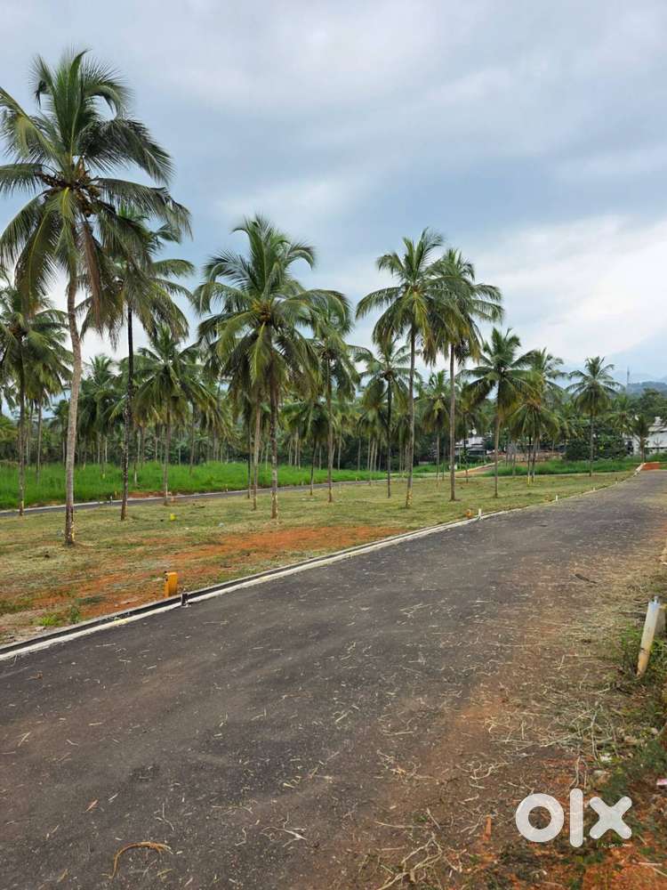 Residential plot for sale in Mannarkkad