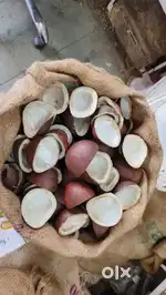 Dry Copra available