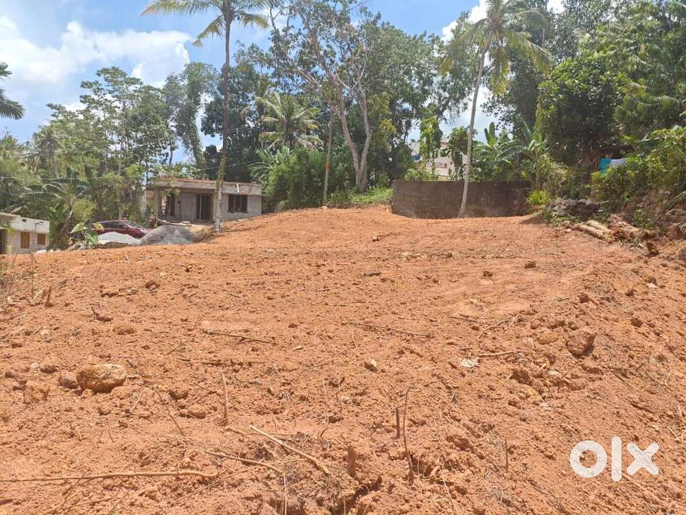 16 cent plot for sale at puliyarakonam