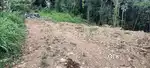 24 cent Plot for sale