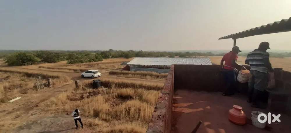 4.5 acre land for sale ratnagiri pawas