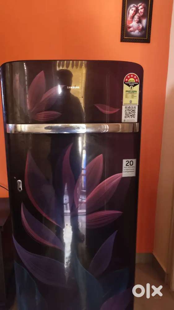 Samsung 189 L, 5 Star, Digital Inverter, Direct-Cool Single DooR