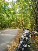 Honda CBshine