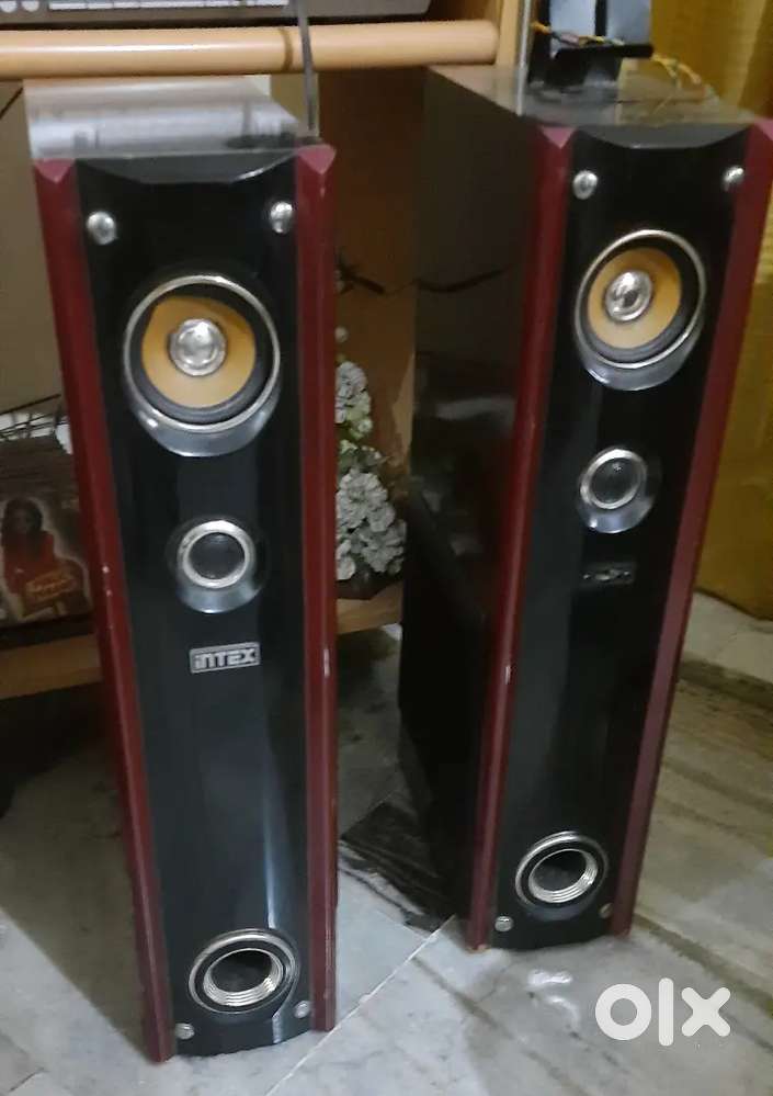 Intex Speaker