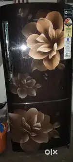 Samsung fridge