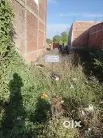 DIVERTED PLOTS
