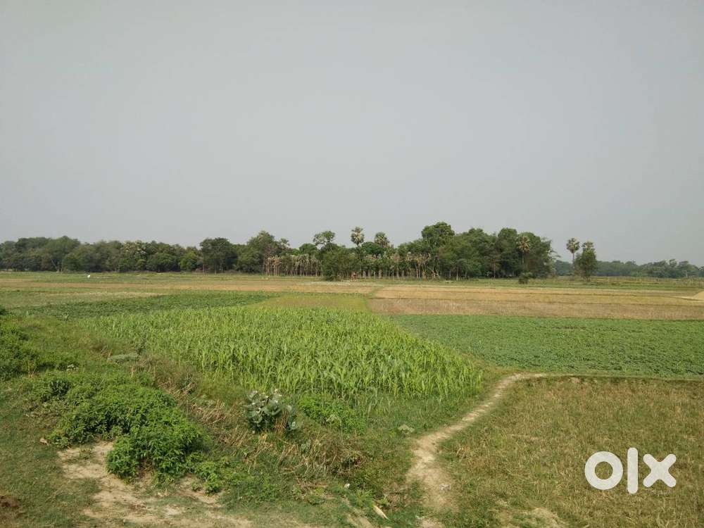 For agriculture and fromhouse