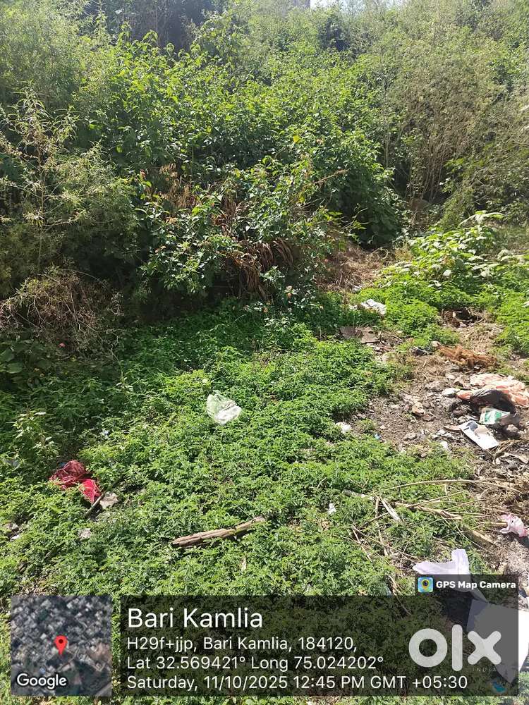 Commercial cum residential land