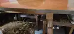 Sagwan dining table with 6 chairs