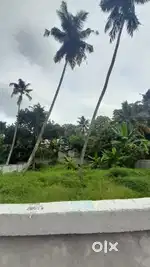 8 cent plot for sale near mukhathala