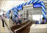 Both Candidates Apply Now Airport Ground Staff Jobs in Indigo Airlines
