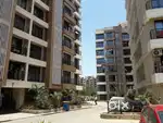 BIG Carpet, 1BHK Sell in Vasai East