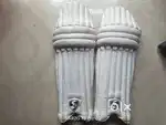 Cricket kit
