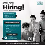 Pharma sales executive