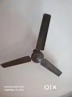 Celling fan